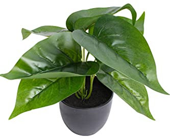 Kunstpflanze (Alocasia, Dieffenbachia, Aglaonema, Zebrina, Calathea, Monstera) Höhe 20-30 cm im schwarzen Kunststofftopf (Philodendron)
