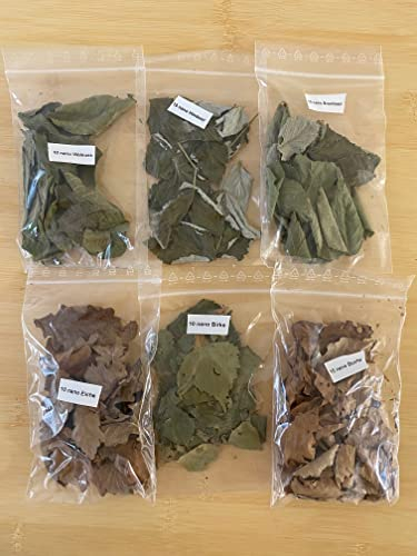 Nano Laubmix 6 Sorten (Eiche, Brombeer, Buche, Himbeer, Birke + Haselnuss) für Aquarien Garnelen Schnecken Fische Welse