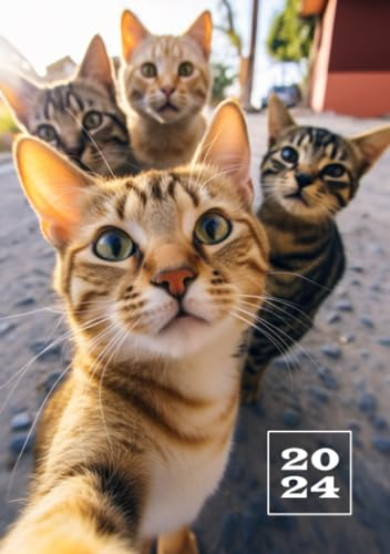 2024: A5 Kalender Planer | 1 Woche auf 2 Seiten | Jan - Dez Wochenplaner | Kalenderbuch Terminkalender | Organizer Wochenkalender Terminplaner | ... Jahresplaner | Taschenkalender Katze Selfie