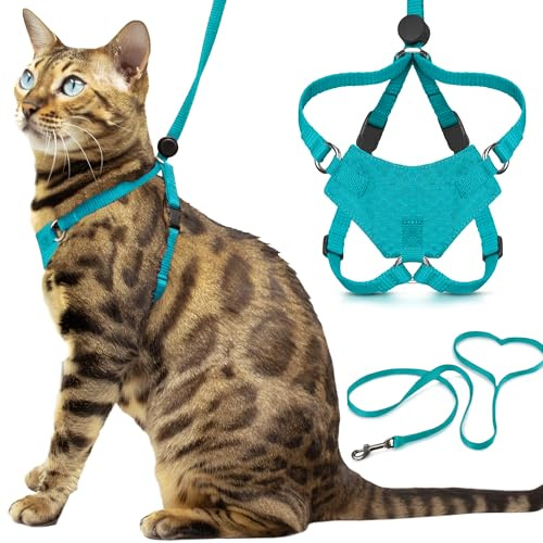 Houdini™ Set aus Katzengeschirr und Leine von OutdoorBengal, ausbruchsicheres, großes Katzengeschirr für Spaziergänge mit großen Katzen, Türkis