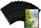 HERMA 7788 Fotohüllen für Ordner, 10 Stück, 20x30 cm, 1 Fach, beidseitig bestückbare Fotophan Fotosichthüllen Sammelhüllen Postkartenhüllen Prospekthüllen mit Eurolochung, schwarz