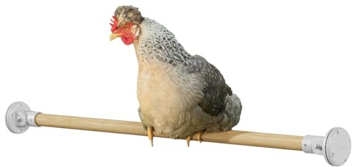 Omlet Chicken Perch | Eucalyptus Wood Roosting Bar for Poultry Runs | Weather-Resistant Outdoor Chicken Perch with Innovative Bracket Design | Fun and Durable Hen Accessory | 1m