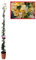 Buganvilla en Tutor Planta Natural - Bougainvillea planta viva - Planta Natural Decorativa trepadora (En tutor Amarilla)