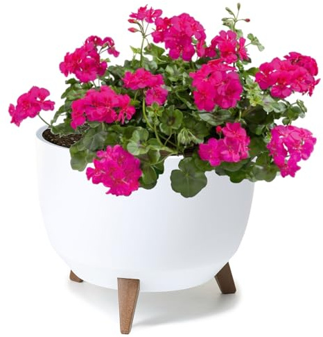 botle Maceta con patas de plástico, cuenco redondo con inserto, color (blanco, diámetro 29 cm x altura 23 cm)