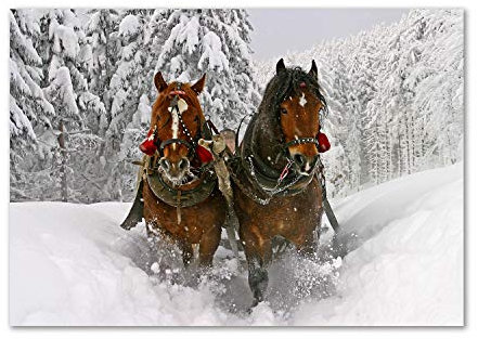 Tulup Crédence de cuisine 100x70cm Dosseret en verre Fond de hotte Verre de sécurité trempé Splashback Guard - Animaux - Brun - Kulig