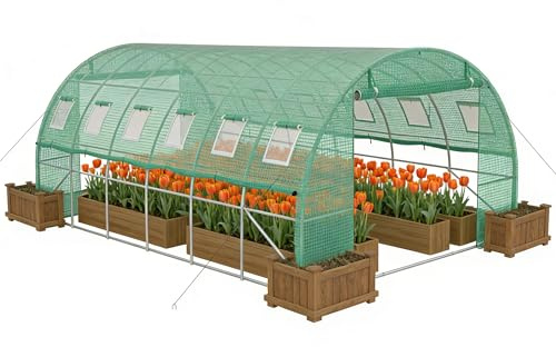 Suusolny Invernadero de 300 x 600 x 200 cm, resistente al invierno, túnel de lámina, protección UV, túnel para plantas, fruta, verduras, flores, tienda de campaña con ventana, invernadero, incluye