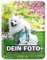 Tassendruck Blech-Schild mit Foto und Text selbst gestalten/Personalisierbar mit eigenem Bild als Metall-Poster / A5 (15x20cm) im Hochformat/Weiss