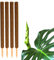 BigDean 4er Set Pflanzstäbe Kokos 80 cm - Monstera Rankhilfe Rankstäbe Stab Moosstäbe Pflanzenstäbe Kokosstäbe für Pflanzen - aus natürlicher Kokosfaser - verlängerbar