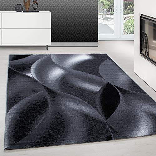 Teppium Moderner Kurzflor Teppich Wohnzimmer 240 x 340 cm Schwarz - Flauschiger Teppich Waschbar, Abstrakt Wellen Design, Pflegeleicht, Weich - Ideal für Schlafzimmer, Esszimer und als Küchenteppich