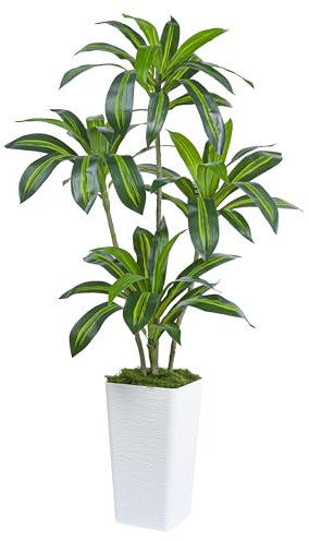 Artificial Plants Dracaena Indoor 5FT Fake Tree with White Tall Planter, Tall Fake Floor Plant in Pot, Artificial Silk Plant for Home Decor Office Living Room Porch Patio Housewarming(4 Trunks 150CM)