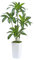 Arbre Artificiel Dracaena en Soie Faux Arbre avec Jardinière Blanche Fausse Plante de Sol Yucca Tropical (1Jardinière Blanche, 150CM) (1, Blanc, 150CM)