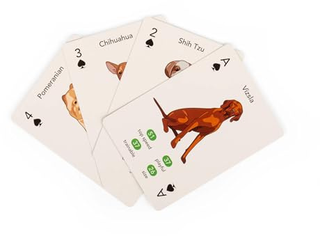 Kikkerland Paws & Play Spielkarten
