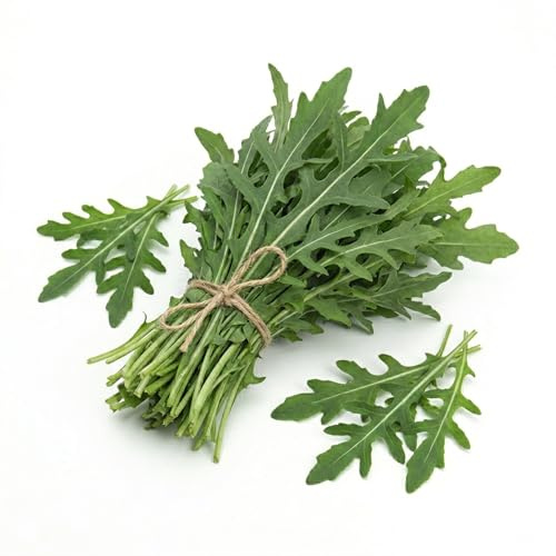 Semi di Rucola Selvatica a Foglia Frastagliata 6g | Alta Germinazione | Insalata Aromatica dal Gusto Intenso | Semi da Orto per Vaso e Giardino | Raccolta Continua | Made in Italy