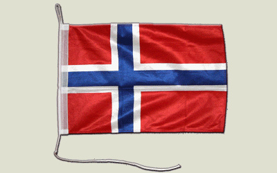Bandiera Norvegia – 30 x 40 cm [Misc.]