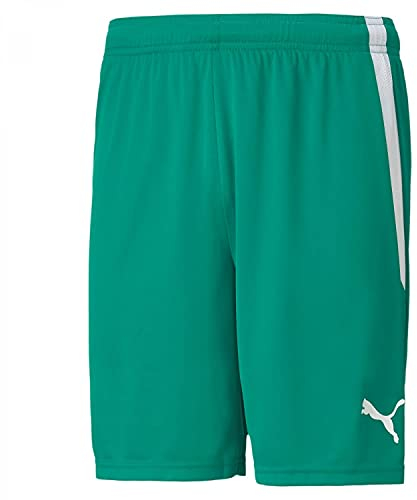 PUMA Teamliga Shorts Boardshorts, Grün (Pepper Green Wh), 3XL