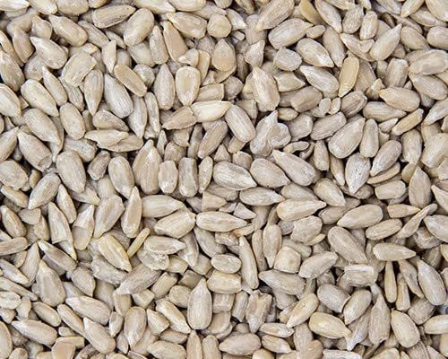 20kg Sunflower Hearts Bird Food