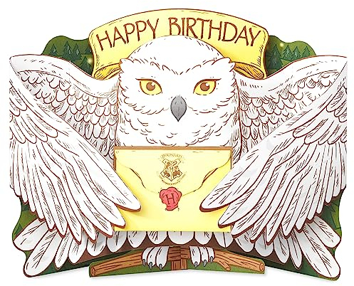 American Greetings Pop Up Harry Potter Geburtstagskarte (gefüllt mit Magie!)