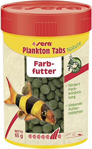 sera Plankton Tabs Nature 100 ml | Sinkende Futtertabletten mit 7% Krill für die natürliche Farbentwicklung | Für Bodenfresser wie Welse, Schmerlen & Wirbellosen | Mit 24% Spirulina & Zooplankton