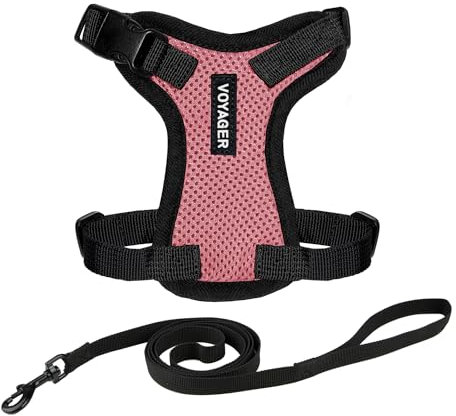 Voyager Step-in Lock Katzengeschirr und reflektierende Katzenleine mit Neoprengriff by Best Pet Supplies - Unterstützt kleine, mittlereund große Katzenrassen, Rosa / Schwarzer Rand, size XXS - 1,5 m