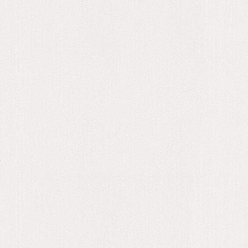 BRICOFLOR Peint peint uni gris très clair papier peint clair Tapisserie idéale pour chambre adulte et salon Papiers peints style scandinave pour bureau
