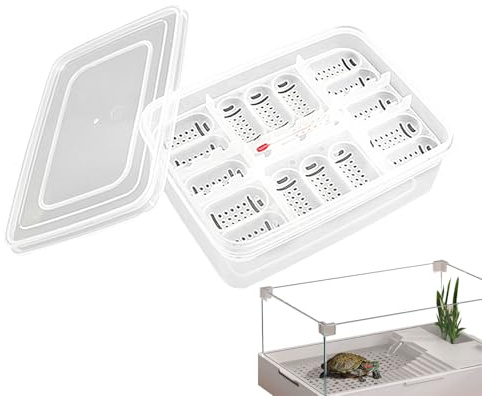Reptile Egg Incubation Tray, Reptile Egg Incubator Tray - Transparent 16 Grid Incubator Tray - Hatching Tray for Egg Development,