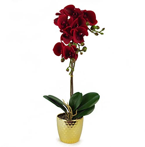 Leaf Design UK Realistic Artificial Orchid Flower Display in Pot