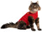 MPS Medical Pet Shirt Katze, Rot, S