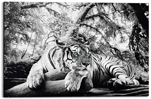 REINDERS Tiger guckt Dich an - Wandbild 90 x 60 cm