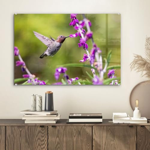 MuchoWow Glasbild Glasfoto Wandbild Bilder Deko 60x40 cm Kolibri - Vogel - Natur