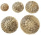 Holibanna 5Pcs Mini Hand Knitted Straw Hats for Doll Costumes and DIY Crafts Decorative Accessories for Photo Props School Projects and Home Decor