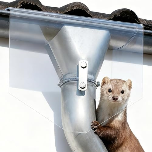 Marderschutz für Fallrohr Marderabwehr für Dachboden - Marderabwehr Kletterschutz für Fallrohre aus Acrylglas, Transparenter Marderschutz Dachrinne gegen Marder Abwehr am Haus Unauffälliger und Sicher