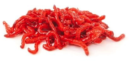 Swell Live 25mm Bloodworm Aquarium Fish Food 10 Pack. Outstanding Tropical Fish Food.