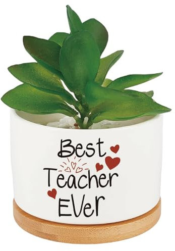 craspire Niedliche Blumentöpfe Mit Sukkulenten Und Kakteen In Der Aufschrift Best Teacher Ever Weiße Keramik Aloe Vera Blumentopf Holztablett Abflussloch Für Drinnen Und Draußen als Dankeschön