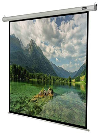 Celexon Leinwand Motor Economy 120 x 120 cm