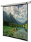 Celexon Leinwand Motor Economy 120 x 120 cm