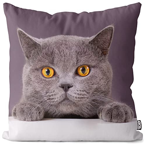 VOID Katze Britisch Kurzhaar Kissenbezug Kissenhülle Sofakissen Kissen Deko Outdoor-Kissen Dekokissen, Kissen Größe:40 x 40 cm