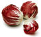 100 Radicchio DI Treviso Radicchio Rosa Semina di Verdure