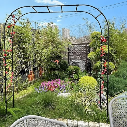 Pergola per matrimonio, arco per rose in acciaio inox, 200-300 cm, padiglione da giardino per feste, Halloween, Natale e celebrazioni (L 180 x H 240 cm)