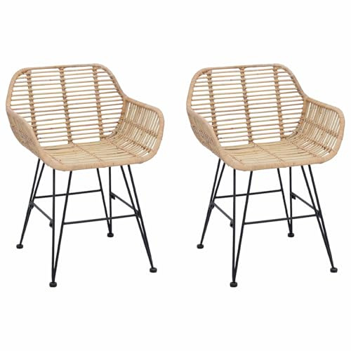 Kaorsrow Esszimmerstühle 2er Set aus Rattan und Eisen handgewebt 55x50x74 cm Bequeme Armlehnen bis 220 kg für Küche Esszimmer Wohnzimmer