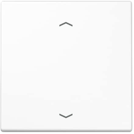 JUNG ENOLS990 PWW Eno Funk Wandsender mit Symbol Pfeil