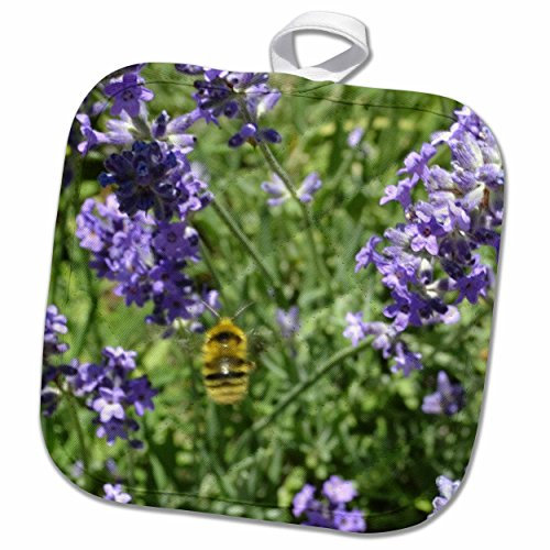 3dRose Topflappen, weiß, 20,3 x 20,3 cm