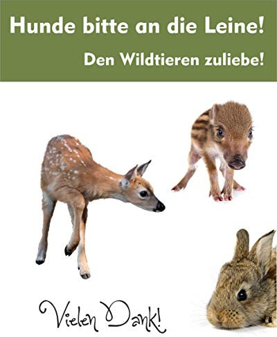 Werbebanner A3 Ruhezone Wildkinder