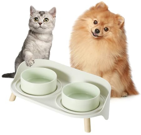 Elevated Ceramic Dog Bowl Set - Double Dog Bowls with Splash Proof Stand - Dog Food and Water Bowl Set - Candy Colored Dog Feeding Bowls - Pet Dishes for Cats and Puppies - 1 Cup (10 fl oz) - Green