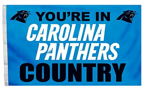 Fremont Die NFL Carolina Panthers Flagge mit Ösen, 90 x 150 cm, Länderflagge