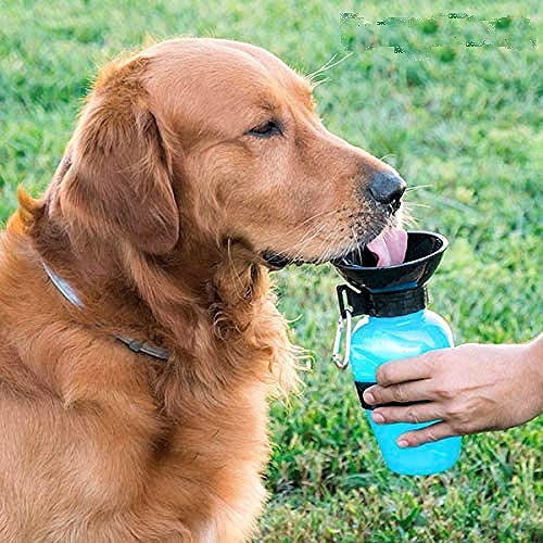 MIND Botella de Agua para Perros
