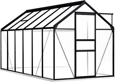 Yolola Invernadero Transparente de Jardín Terraza, Cobertizo de Plantación de Aluminio y Acero, Gris Antracita 190 x 370 x 202 cm