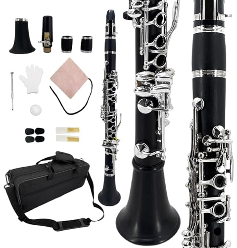 YoungMonic Ebonite Es-Klarinette mit silbernen Klappen für Orchesteraufführungen, professionelle schwarze Es-Klarinetten mit gepolsterter Tragetasche und komplettem Wartungsset (n2)