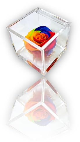 PREMIUM ROSE - Cubo Rosa Stabilizzata 6 cm con Base Microbolle - Rosa Eterna Stabilizzata Made in Italy - Idea per Persone Creative, Giovani e Bambini - Multicolor A 1806
