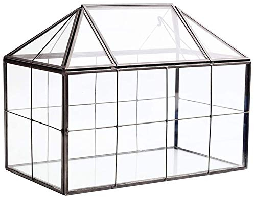 Glas-Terrarium, handgefertigt, geometrisches Glas mit Schwingdeckel, für den Innenbereich, für Sukkulenten