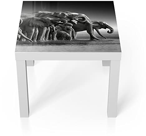 DEQORI Glastisch | weiß klein 55x55 cm | Motiv Elefantenherde am Wasser | ausgefallener Beistelltisch aus Glas | Hochglanz Couchtisch fürs Wohnzimmer | moderner Couch Tisch mit Design